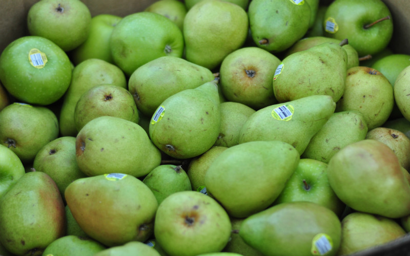 pears food